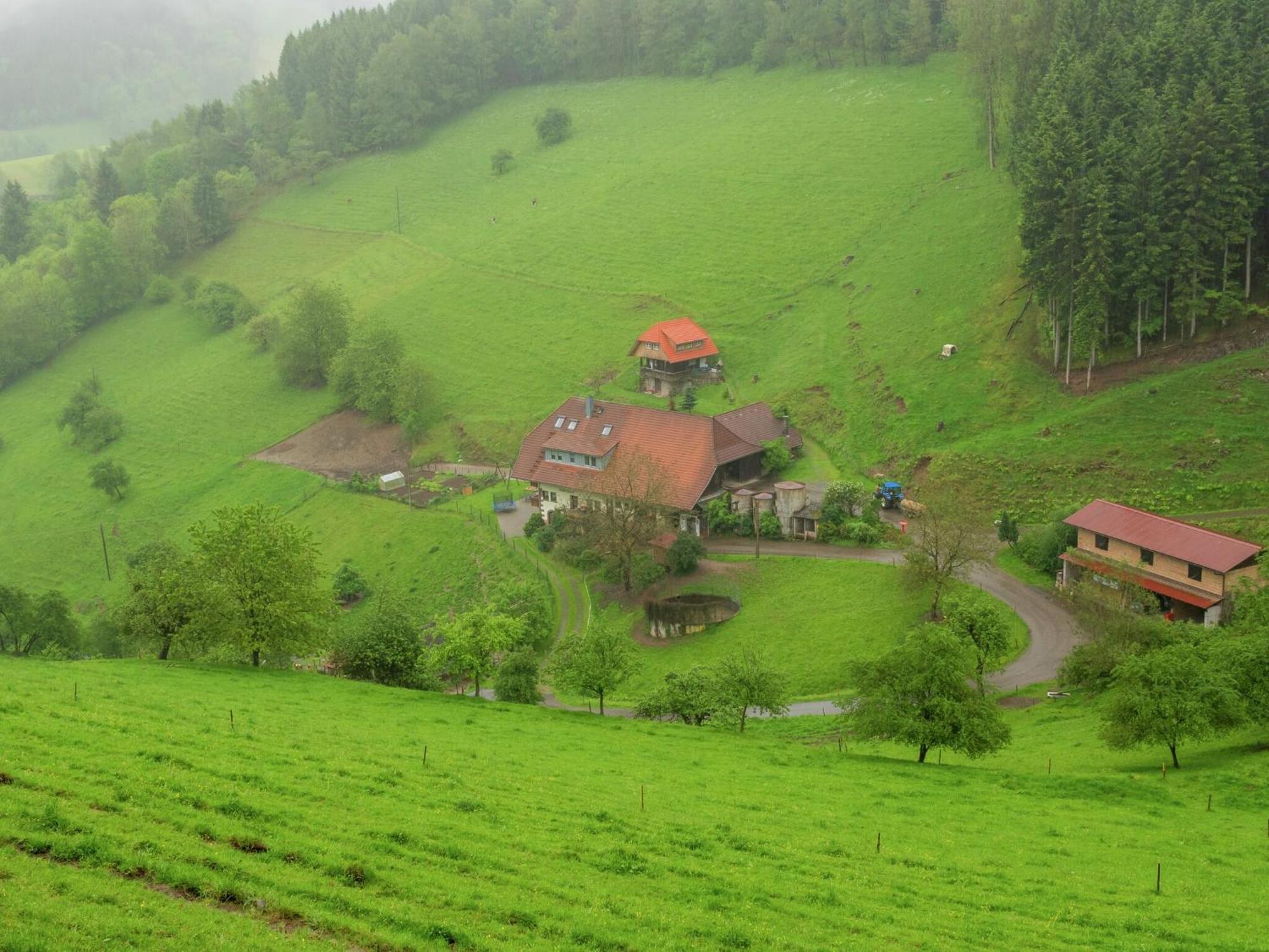 Cosy Farmhouse Apartment At The Edge Of The Forest Muehlenbach Экстерьер фото