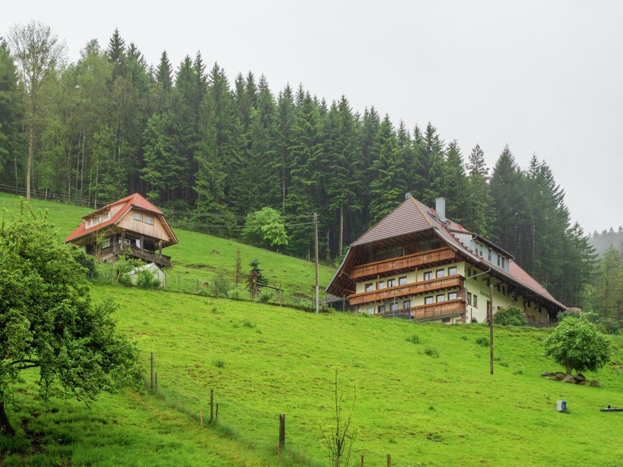 Cosy Farmhouse Apartment At The Edge Of The Forest Muehlenbach Экстерьер фото